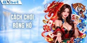 Cách chơi rồng hổ