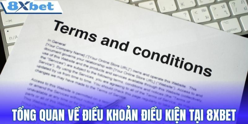 Tổng quan về điều khoản điều kiện tại 8XBET